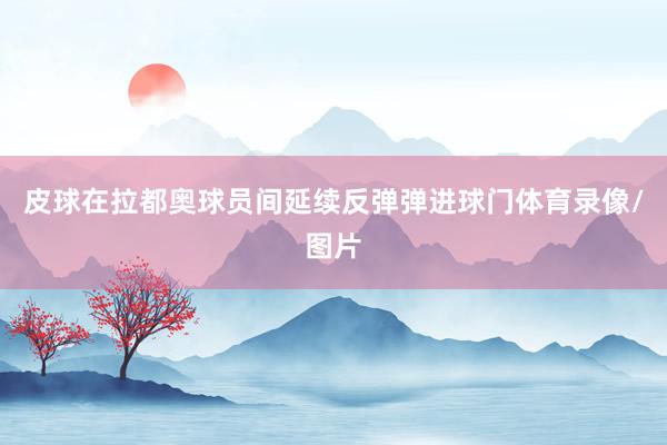 皮球在拉都奥球员间延续反弹弹进球门体育录像/图片