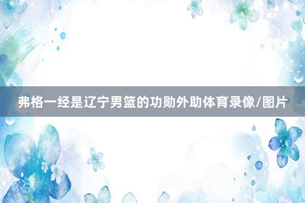 弗格一经是辽宁男篮的功勋外助体育录像/图片