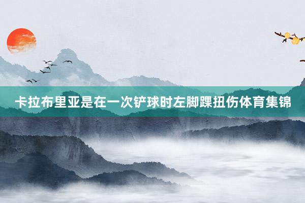 卡拉布里亚是在一次铲球时左脚踝扭伤体育集锦