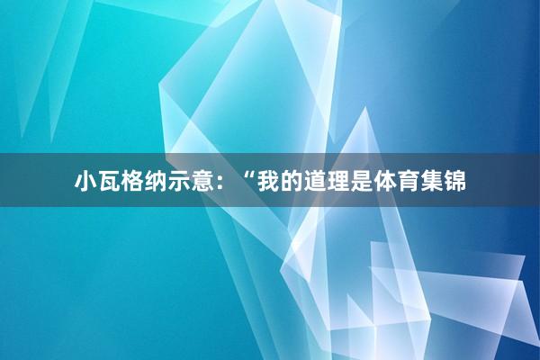 小瓦格纳示意：“我的道理是体育集锦