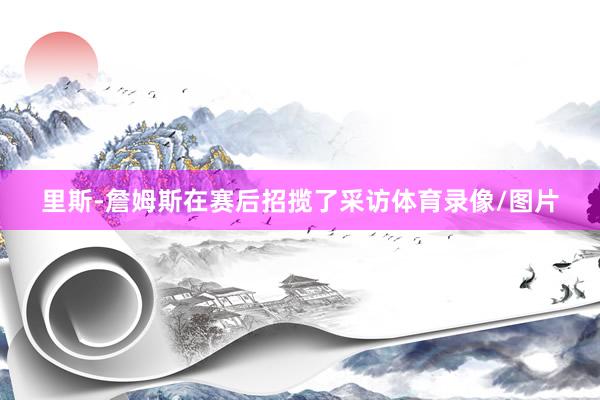 里斯-詹姆斯在赛后招揽了采访体育录像/图片