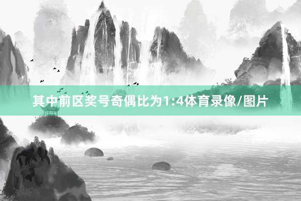 其中前区奖号奇偶比为1:4体育录像/图片