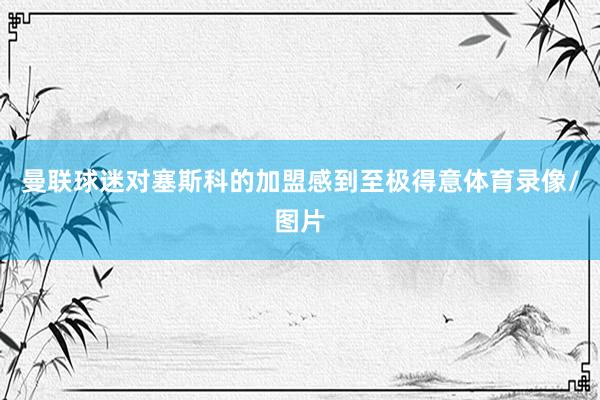 曼联球迷对塞斯科的加盟感到至极得意体育录像/图片