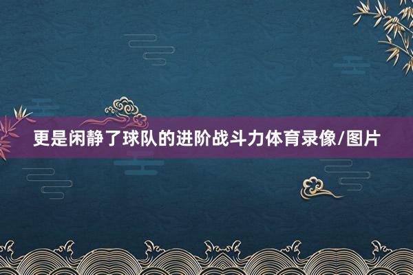 更是闲静了球队的进阶战斗力体育录像/图片