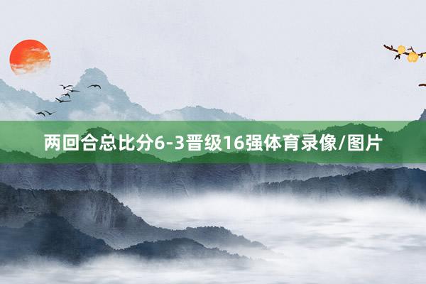 两回合总比分6-3晋级16强体育录像/图片