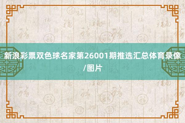新浪彩票双色球名家第26001期推选汇总体育录像/图片
