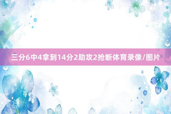 三分6中4拿到14分2助攻2抢断体育录像/图片