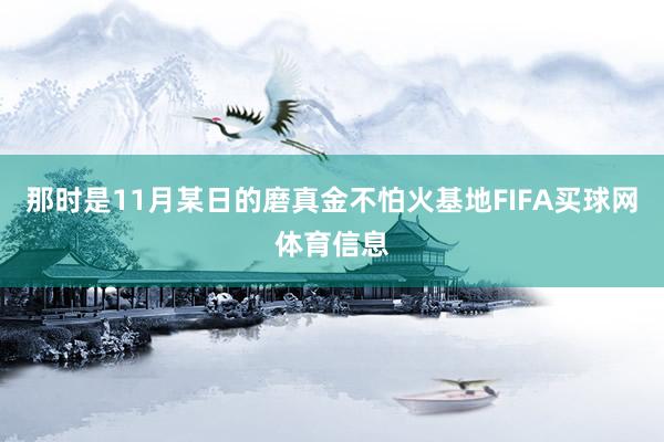 那时是11月某日的磨真金不怕火基地FIFA买球网体育信息