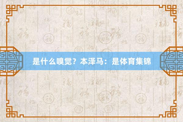 是什么嗅觉？本泽马：是体育集锦